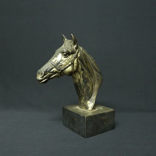 horse head contemporary arts side view 1