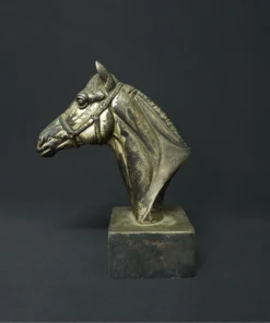 horse head contemporary arts side view 2