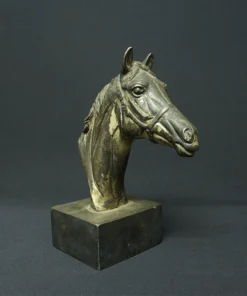 horse head contemporary arts side view 3