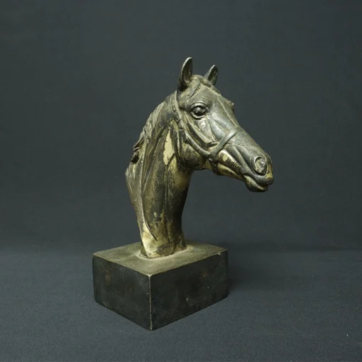 horse head contemporary arts side view 3