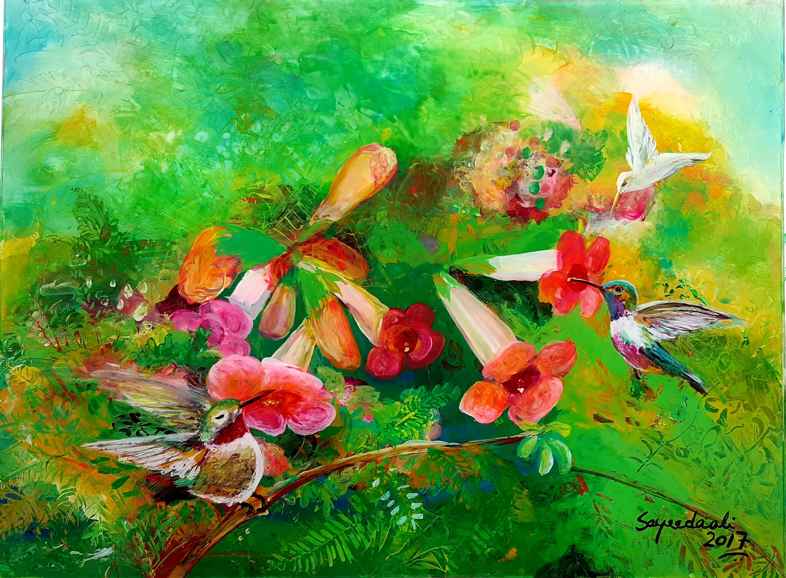 sayeeda ali's painting of humming birds drinking the nectar from flower